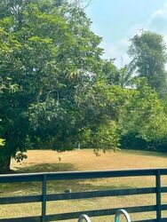 Mount Pleasant Road (D11), Detached #612879591